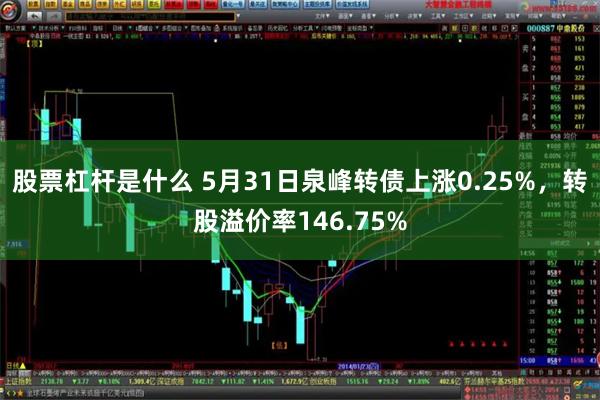 股票杠杆是什么 5月31日泉峰转债上涨0.25%，转股溢价率146.75%