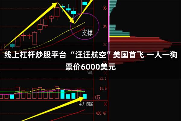 线上杠杆炒股平台 “汪汪航空”美国首飞 一人一狗票价6000美元