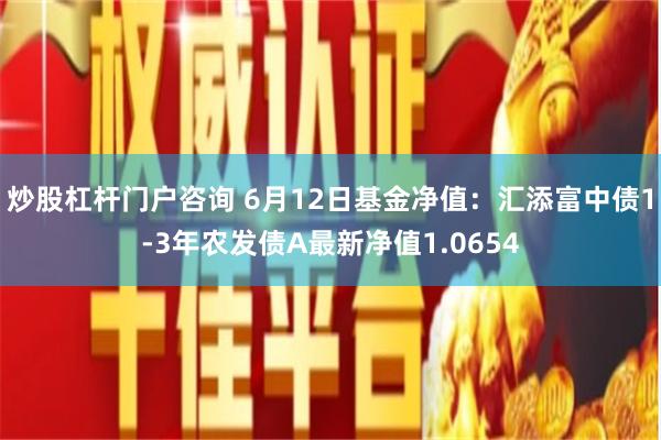 炒股杠杆门户咨询 6月12日基金净值：汇添富中债1-3年农发债A最新净值1.0654