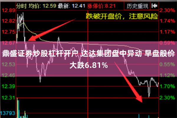 鼎盛证券炒股杠杆开户 达达集团盘中异动 早盘股价大跌6.81