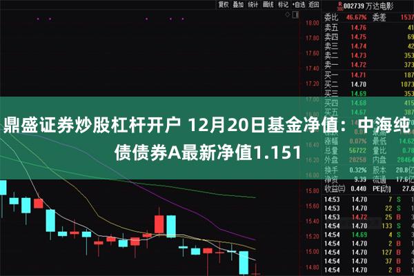 鼎盛证券炒股杠杆开户 12月20日基金净值：中海纯债债券